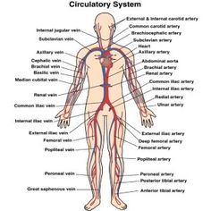 the circulator system with labels on it