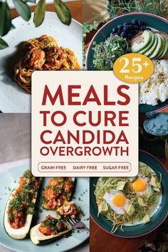 Struggling with Candida overgrowth? Discover a meal plan specifically designed to help manage and reduce Candida symptoms while nourishing your body with wholesome, delicious foods. This plan focuses on low-sugar, anti-inflammatory meals that support a healthy gut and balance your body's natural flora.  Why You’ll Love It:  Sugar-Free: Avoids refined sugars and high-carb foods. Gut-Friendly: Includes probiotic-rich and anti-inflammatory ingredients. Easy-to-Follow: Simple recipes and meal prep tips for a stress-free plan.  What’s Inside:  Anti-Candida Breakfasts Balanced Lunches Dinner Delights Snack Ideas  #CandidaDiet #GutHealth #HealthyEating #AntiCandida #MealPlan #WellnessJourney #CleanEating Dairy Free Grain Free Recipes, Grain Free Diet Recipes, Candida Overgrowth, Grocery Shopping List