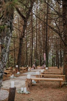 an empty wooden bench sitting in the middle of a forest