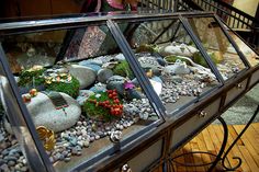 a display case filled with rocks and plants on top of a wooden floor next to stairs