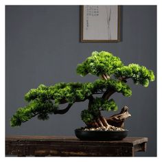 a bonsai tree sitting on top of a wooden table next to a framed picture