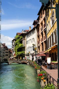 a river running through a city next to tall buildings with flowers growing on the side