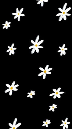 white daisies with yellow centers on a black background