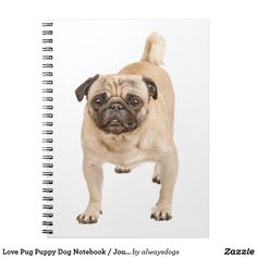 a small pug dog standing on its hind legs in front of a spiral notebook