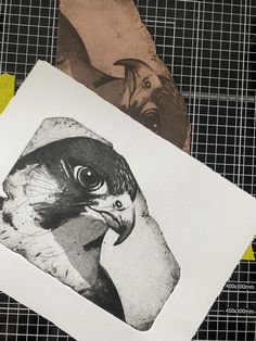 an image of a bird on a piece of paper next to some other art work