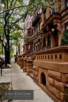 a row of brownstone buildings on a city street with trees in the foreground