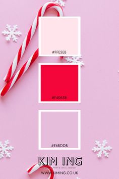 candy canes and pink color swatches on a pink background with snowflakes