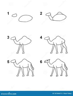 how to draw a camel step by step instructions for children and adults stock illustration image