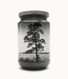 a glass jar with a tree in it