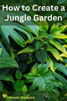 green plants with the title how to create a jungle garden