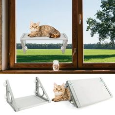 a cat laying on top of a window sill