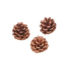 three pine cones sitting on top of each other