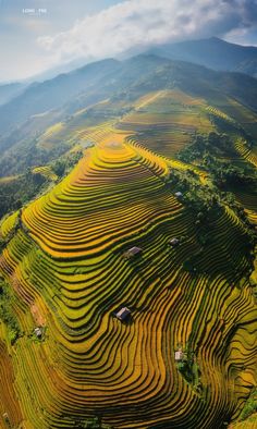 an aerial view of the terraced rice fields in mu cang cha, vietnam