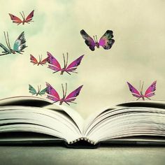 an open book with butterflies flying out of it