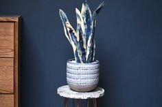 a blue and white potted plant sitting on top of a small table next to a dresser