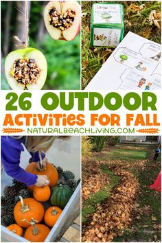 an outdoor activities for fall with pumpkins and other things to do in the yard