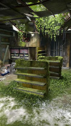 an abandoned building with moss growing all over the floor and steps leading up to it