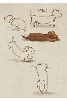 some drawings of dogs and puppies in different poses