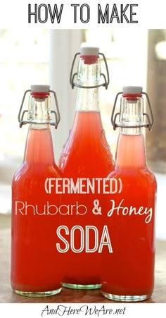 three bottles of soda sitting on top of a table next to each other with the words, fermented rhubarb & honey soda