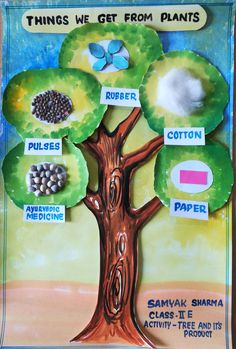 a poster with different types of plants and their names in the shape of a tree