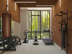 an exercise room with treadmills, machines and yoga mats in front of large windows