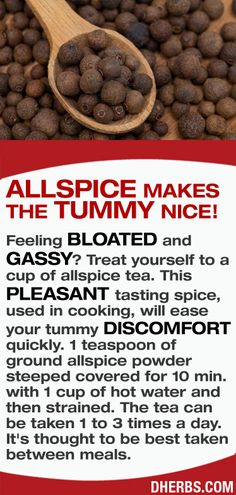 Witches Book, Health Herbs, Feeling Bloated, Health Posters, Food Benefits, All Spice, Healing Foods, Bloated Belly, Healing Food