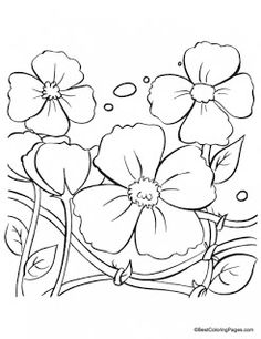 flowers coloring pages for kids to print and color