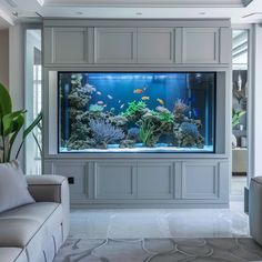 a fish tank in the middle of a living room