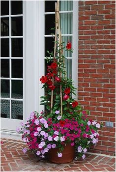 a potted plant with red and pink flowers in front of a brick building door