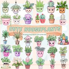 a bunch of potted plants that are in different colors and sizes with the words cute houseplants above them