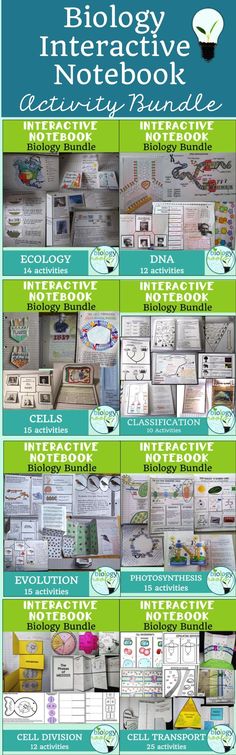 an interactive notebook activity bundle with pictures and instructions to help students learn how to use it