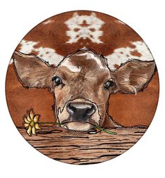 a brown and white cow with a flower in its mouth