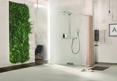 a bathroom with a green wall in the shower