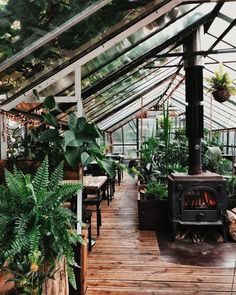 the inside of a greenhouse with lots of green plants and potted plants in it