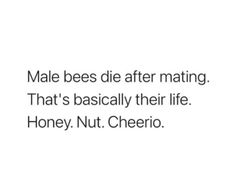 a quote that reads, male bees die after mating that's basically their life honey nut