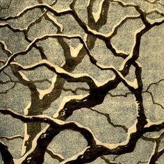 an abstract photograph of trees in the snow with no leaves on them, taken from above