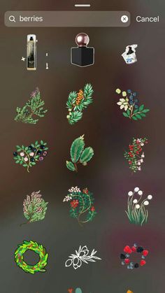 an iphone screen with various flowers and plants on it