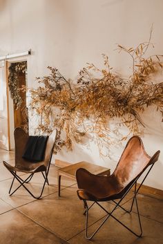 two chairs sitting next to each other in front of a wall with plants on it