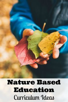 someone holding up a leaf with the words outdoor early education leader career profile