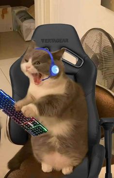 a cat sitting in a chair with a keyboard and headphones on it's ears