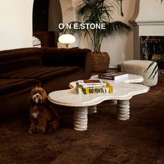 a dog sitting in front of a coffee table with books on it's legs