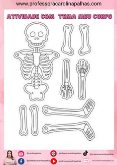 the skeleton and bones are cut out from paper