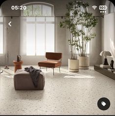 a living room filled with furniture and potted plants on top of windowsills