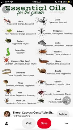 an iphone screen showing the different types of bugs