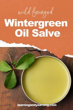 Wintergreen oil salve has analgesic and anti-inflammatory properties and has been used to treat sore muscles, arthritis, nerve pain, and menstrual cramps. #NervePainRelief #NaturalPainManagement #ChronicPainSolutions #PainFreeLiving #NervePainRemedies Nerve Pain Remedies, Wintergreen Essential Oil, Home Medicine, Harvesting Herbs, Healing Salves, Nerve Pain Relief, Herbal Tinctures