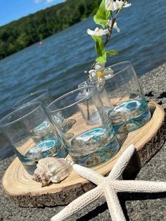 four glasses on a wooden tray with shells and starfish in front of the water