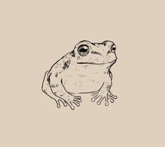 a black and white drawing of a frog