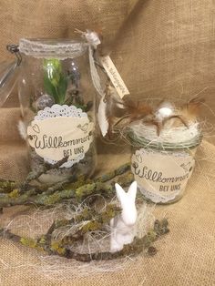 two glass jars filled with plants and small white rabbits