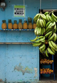 bunches of bananas hanging from the ceiling in front of a fruit stand with oranges and pineapples