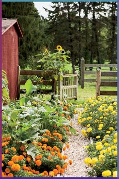 the garden is full of colorful flowers and plants